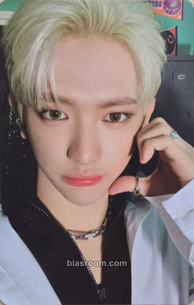 Tempest - LEW - THE CALM BEFORE THE STORM Album album photocard poca album