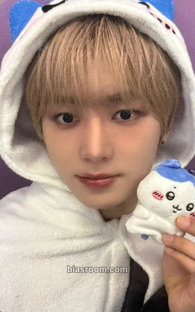 NouerA - Lin - n: number of cases Album hellolive video call (fancall) round 1