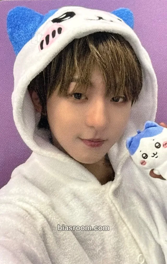 NouerA - Miraku - n: number of cases Album hellolive video call (fancall) round 1