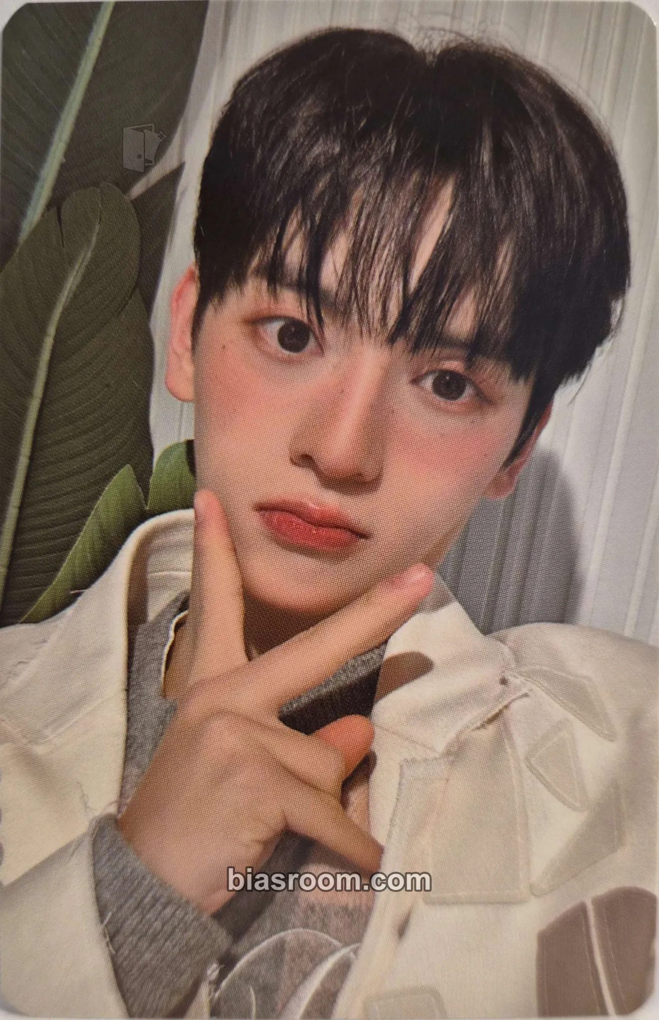 Sungyun Season's Greetings 2025 Photocard - n.SSign - n.SSign K-pop photocard
