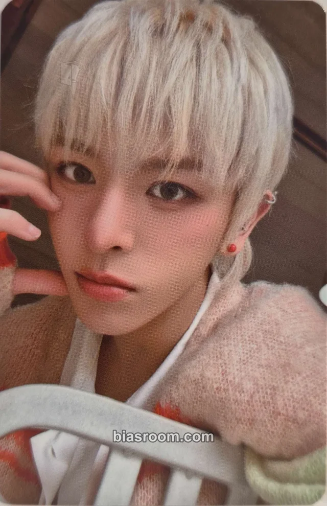 n.SSign - Laurence - Season's Greetings 2025 Other photocard set