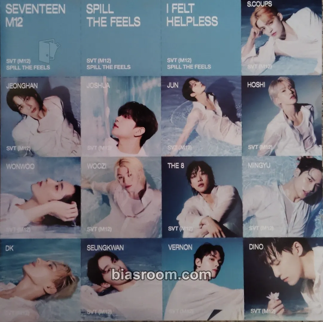 Spill the Feels Photocard - SEVENTEEN - SEVENTEEN K-pop photocard