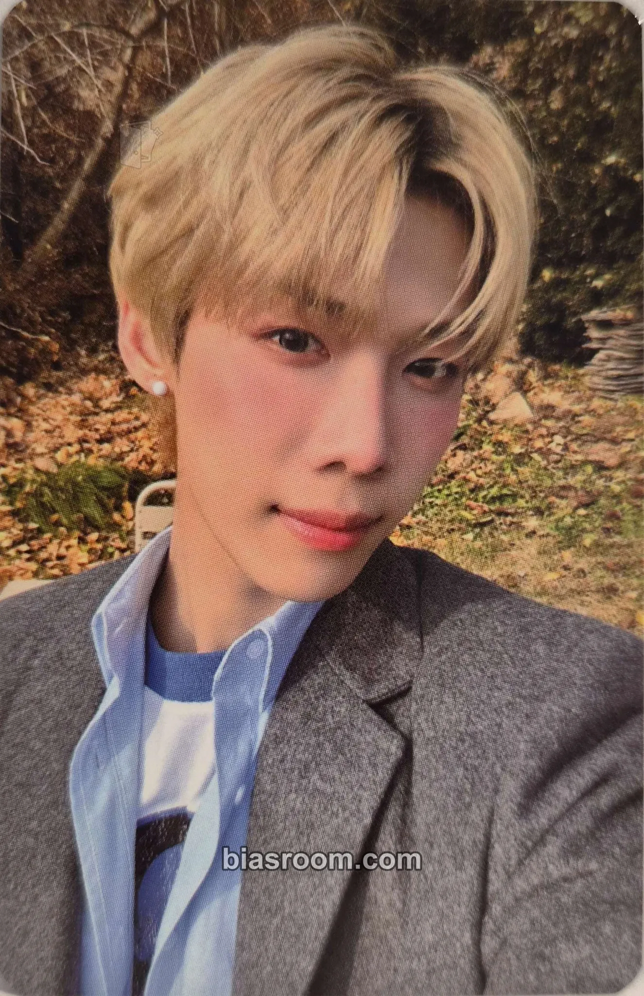 Robin Season's Greetings 2025 Photocard - n.SSign - n.SSign K-pop photocard