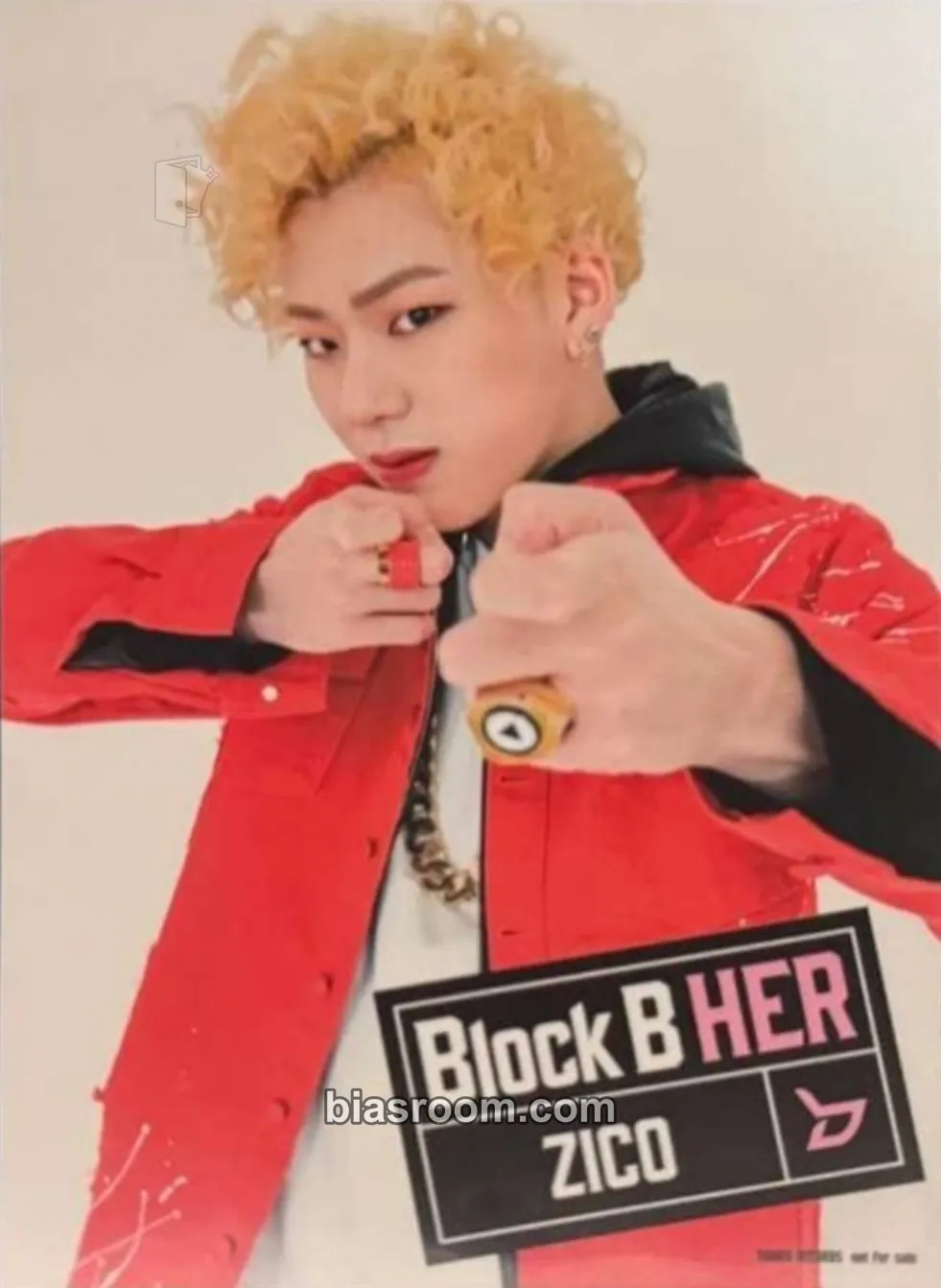 Zico Blooming Period Photocard - Block B | Bias Room