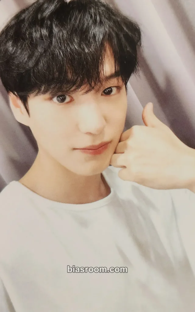 VICTON - Chan - Chaos Album musickorea (music korea)