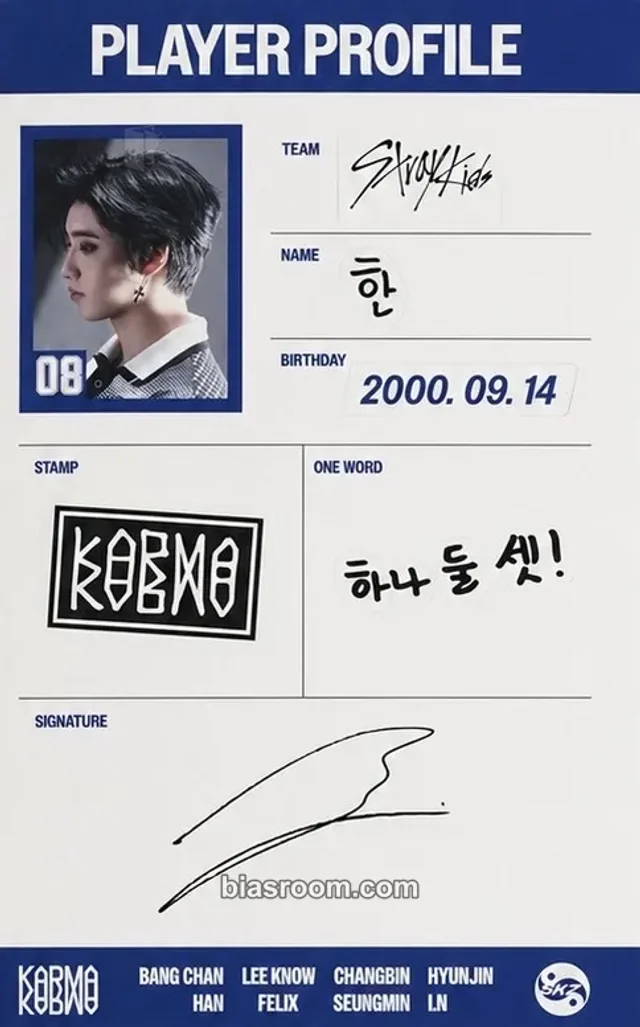 Stray Kids - HAN - KARMA Album merch pop-up sticker set sticker sheet