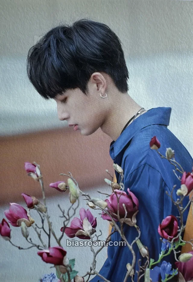 Jin Longguo - Longguo - MONO DIARY Album album inclusion postcard