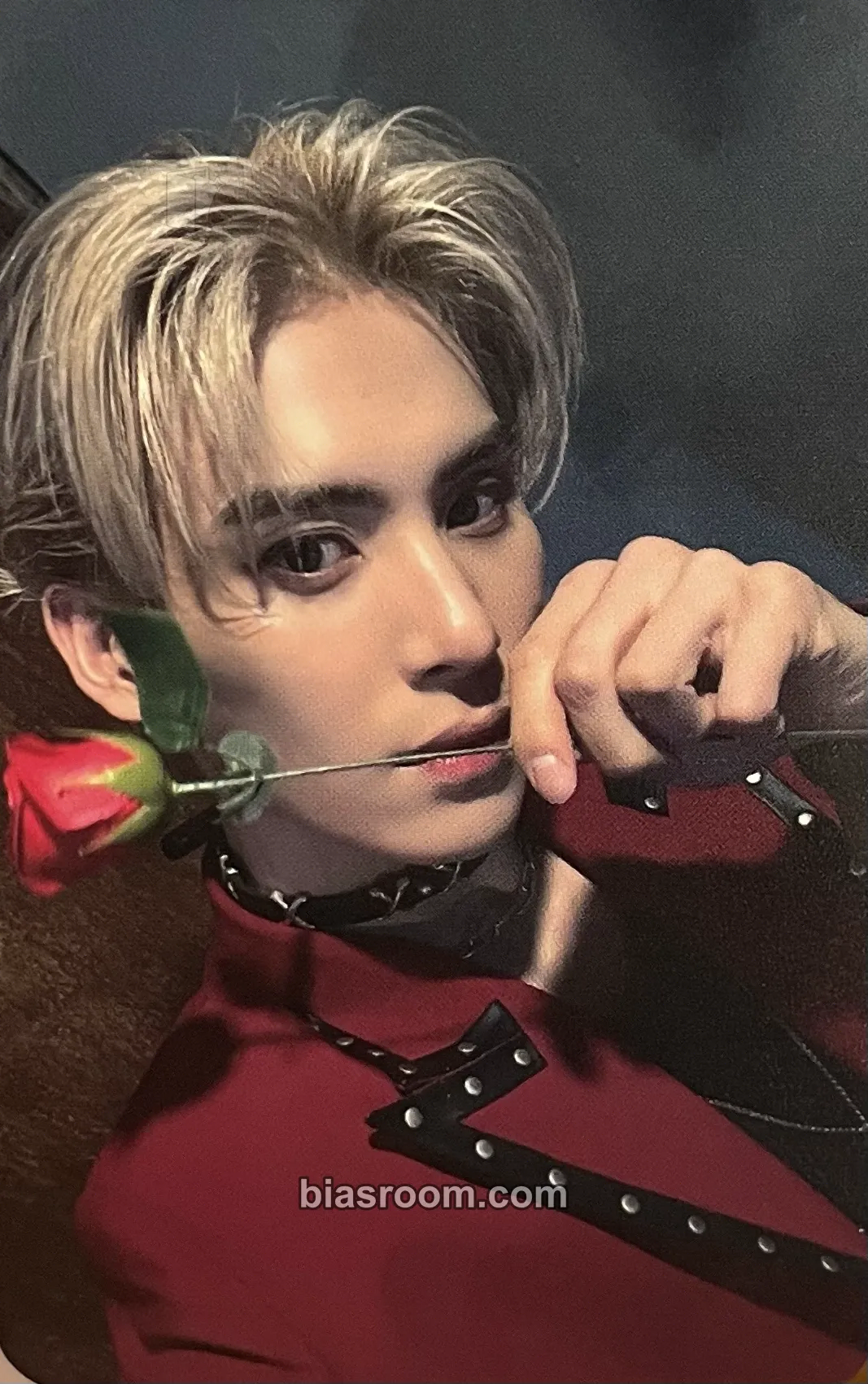 Yoo Taeyang 2025 SF9 LIVE FANTASY #5 LOVE DAWN Photocard - SF9 - SF9 K-pop photocard