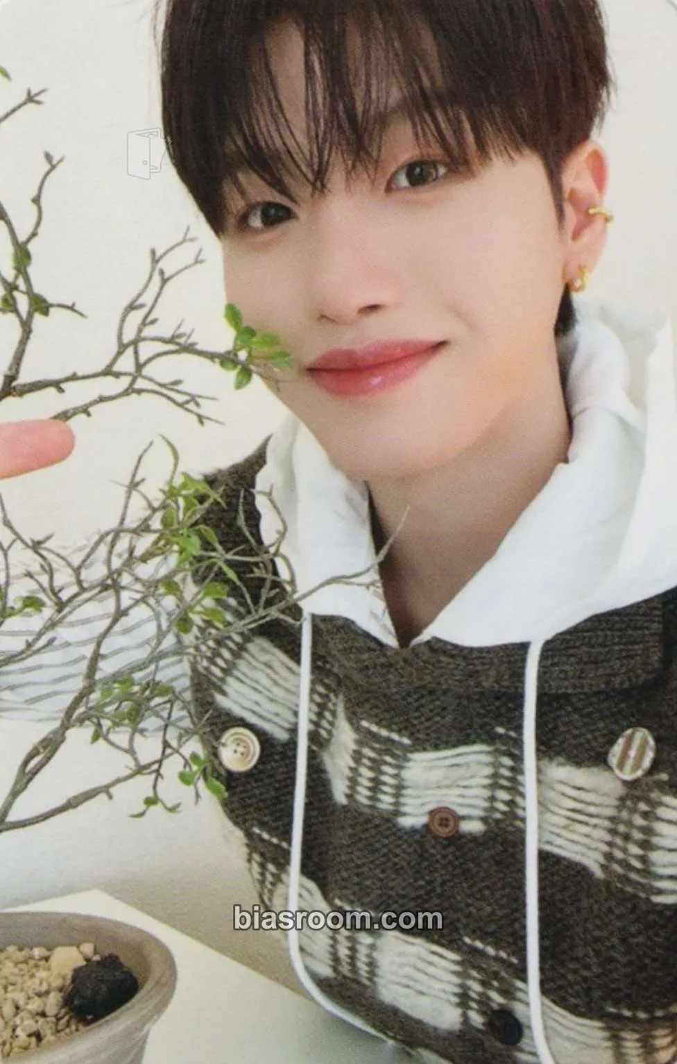 Huiwon Love Potion Photocard - n.SSign - n.SSign K-pop photocard