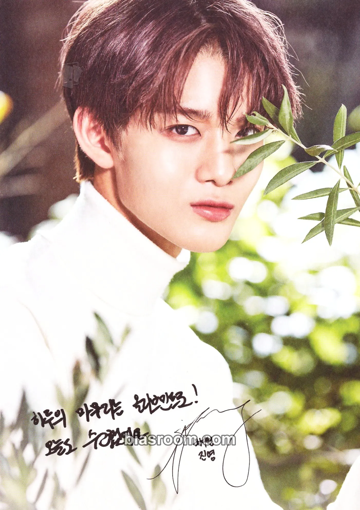 Jinyoung innisfree Photocard - Wanna One - Wanna One K-pop photocard