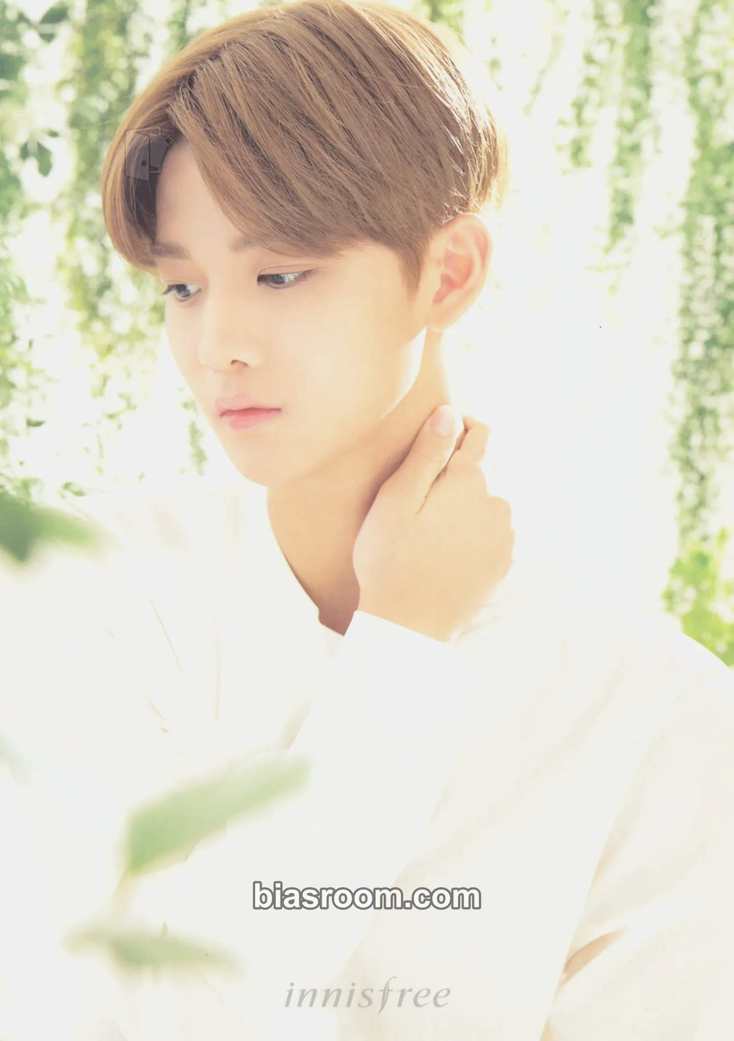 Jinyoung innisfree Photocard - Wanna One - Wanna One K-pop photocard