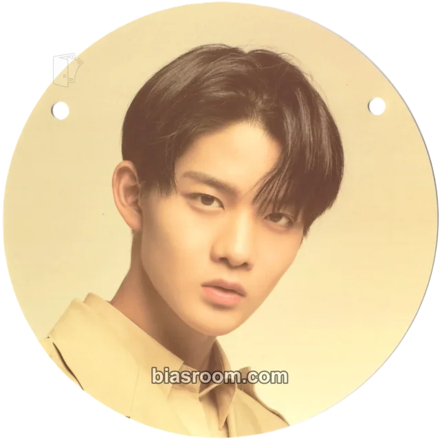 Wanna One - Jinyoung - ONE : THE WORLD Event tour merch garland