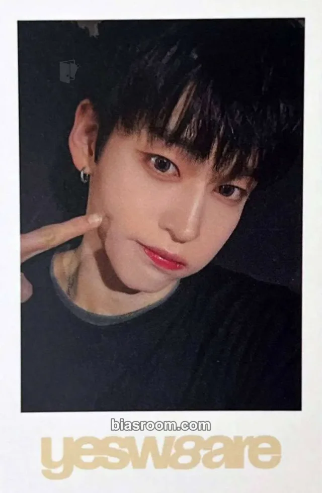 idntt - ToWa - yesweare Album everline polaroid