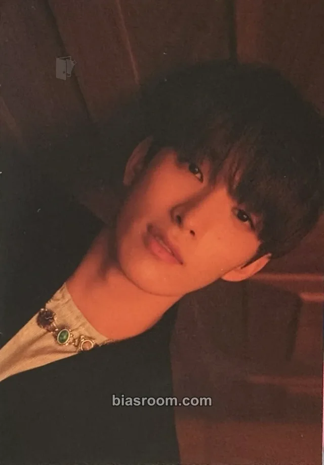 SEVENTEEN - DK - You Made My Dawn Album album inclusion KiT/kihno version postcard postcard set eternal sunshine version