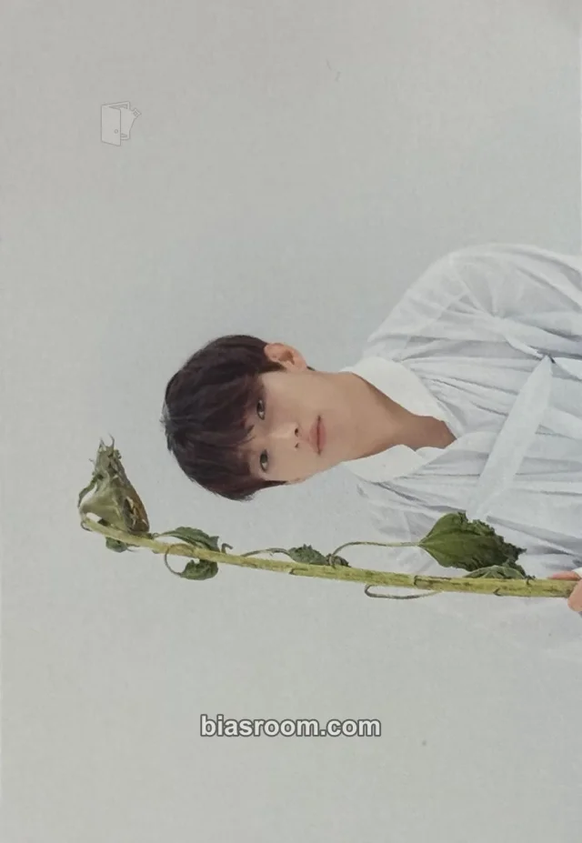 SEVENTEEN - DK - You Made My Dawn Album album inclusion KiT/kihno version postcard postcard set dawn version