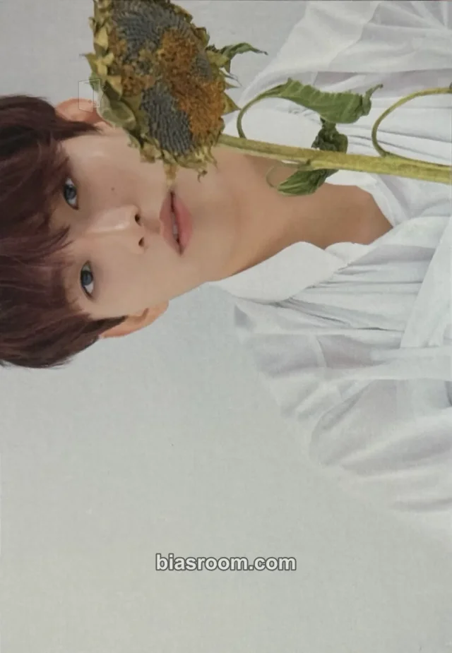 SEVENTEEN - DK - You Made My Dawn Album album inclusion KiT/kihno version postcard postcard set dawn version