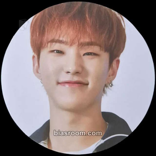 SEVENTEEN - Hoshi - Semicolon Album album inclusion circle card