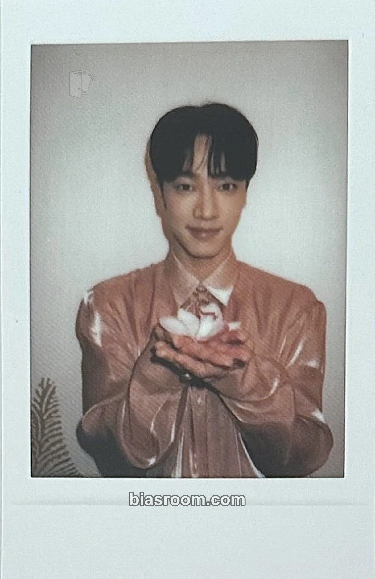 Lee Gi-kwang DAYDREAM Photocard - HIGHLIGHT - HIGHLIGHT K-pop photocard