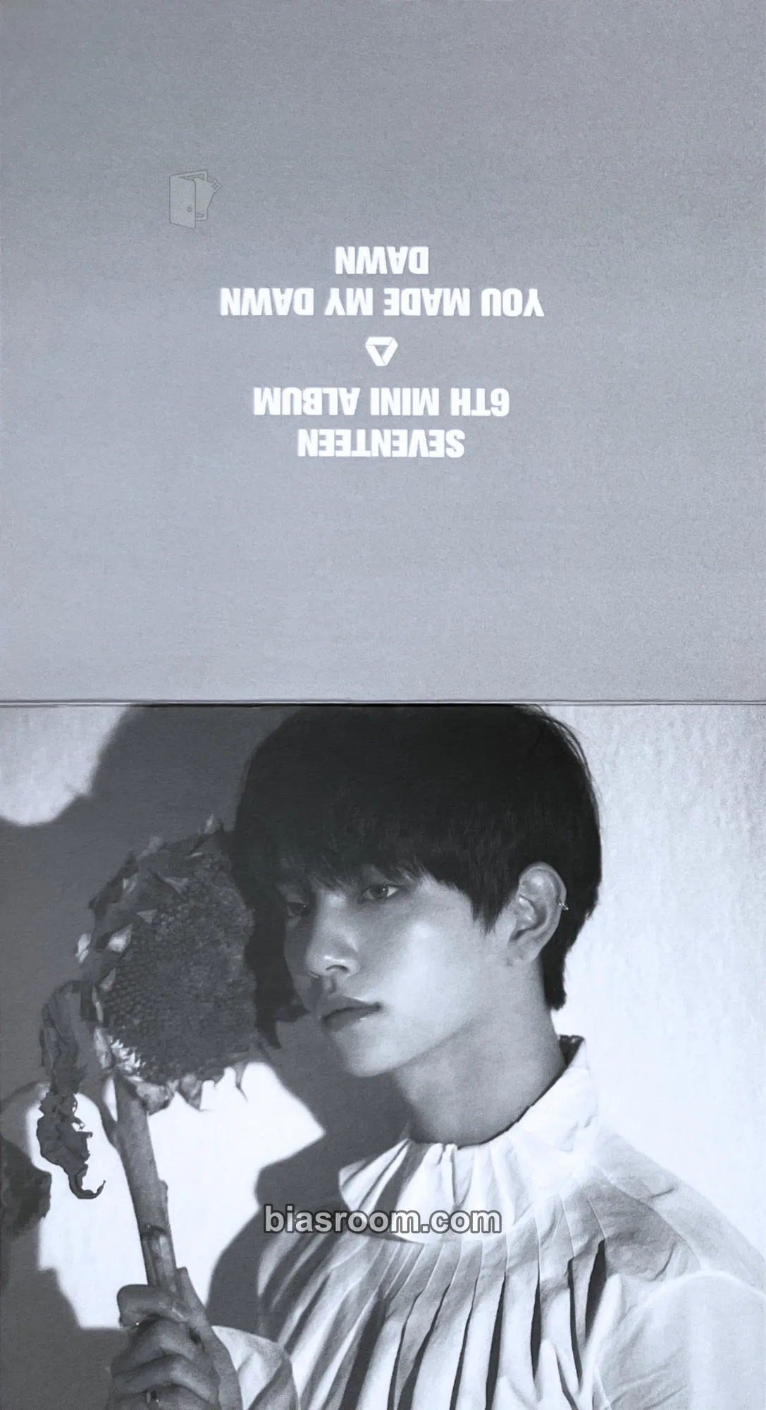 Joshua You Made My Dawn Photocard - SEVENTEEN - SEVENTEEN K-pop photocard