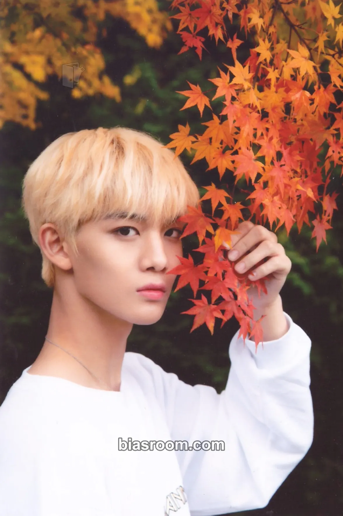 Jinyoung Therefore Photocard - Wanna One - Wanna One K-pop photocard