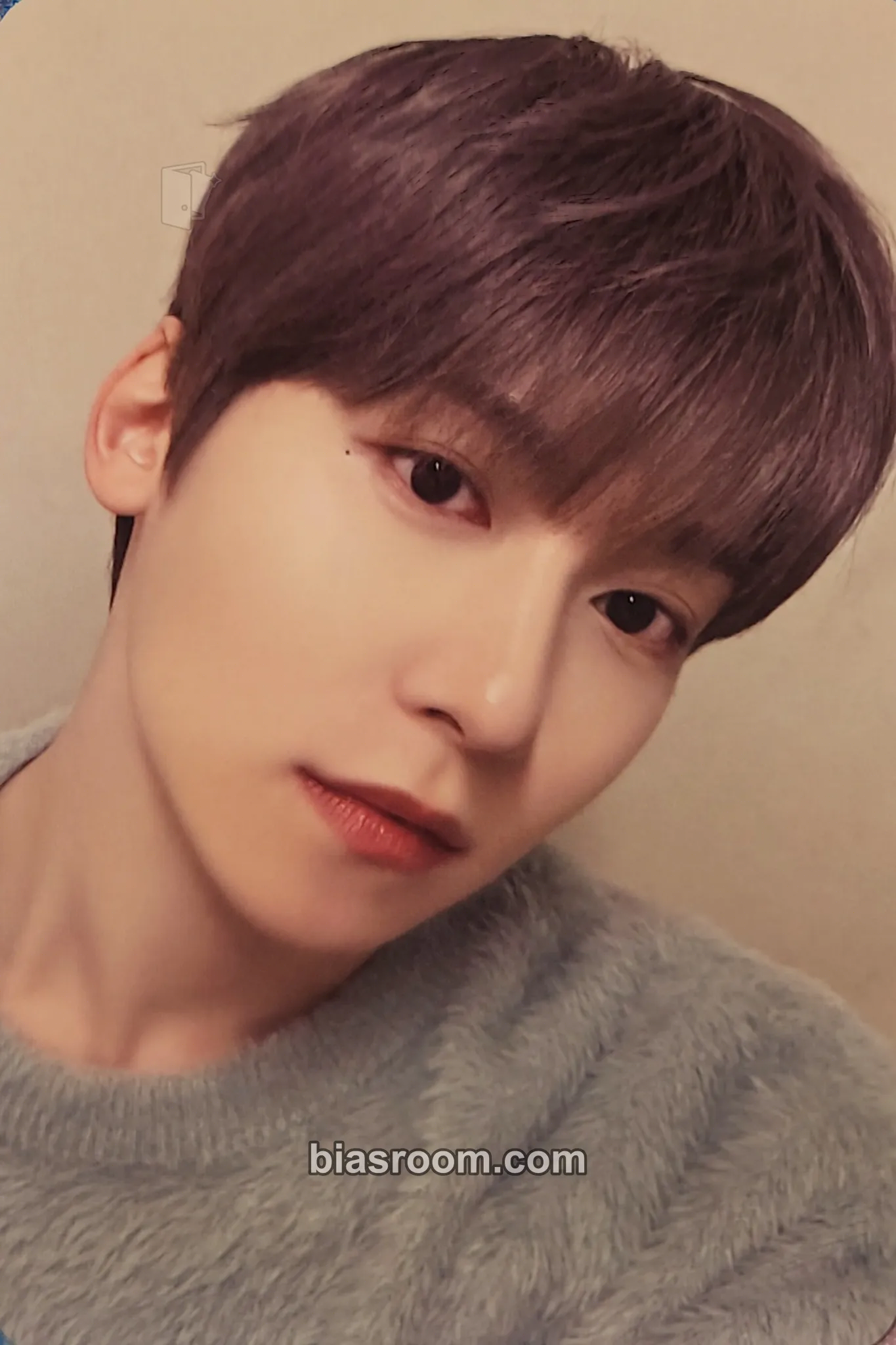 Keonhee La Dolce Vita Photocard - ONEUS - ONEUS K-pop photocard