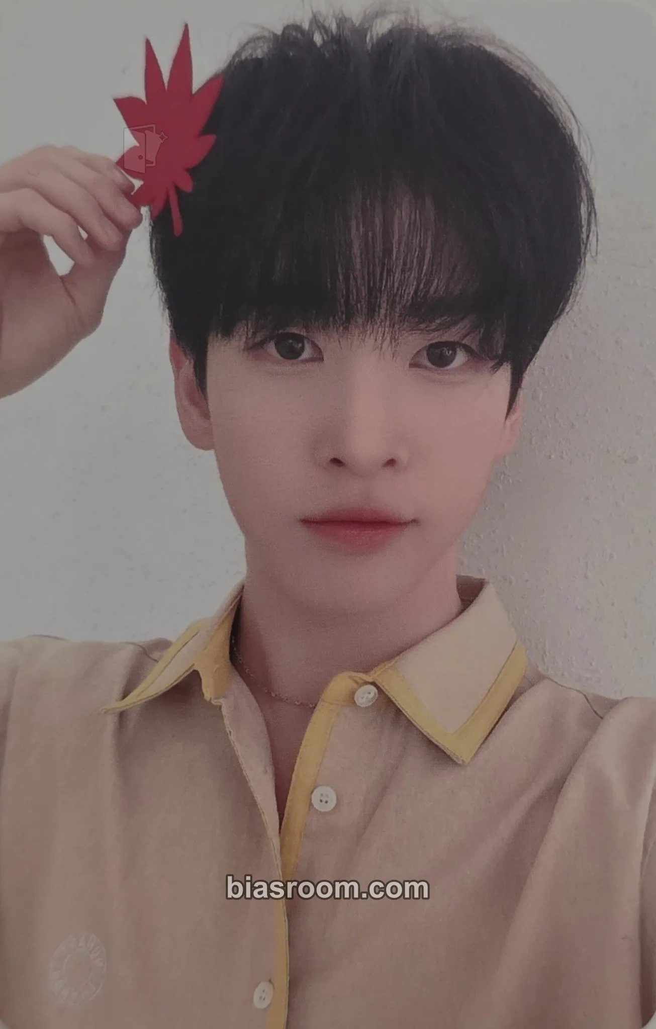 Allen AUTUMN CCREW Pop-Up Store Photocard - CRAVITY - CRAVITY K-pop photocard