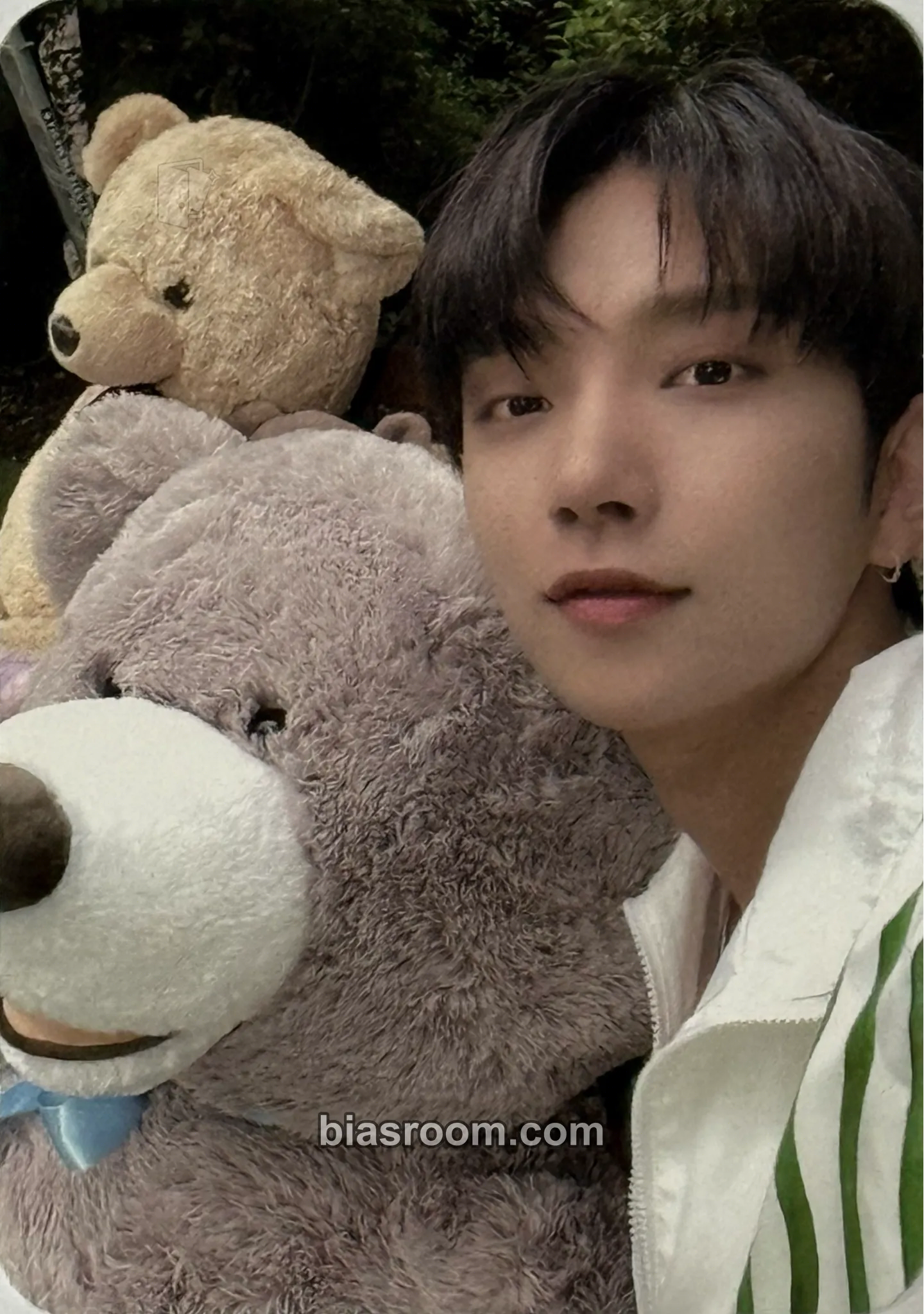 Joshua DICON My Choice Is... Magazine Photocard - SEVENTEEN - SEVENTEEN K-pop photocard