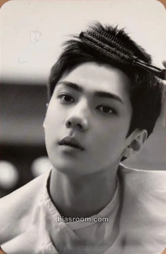 Sehun EXO Figure MD Photocard - EXO - EXO K-pop photocard