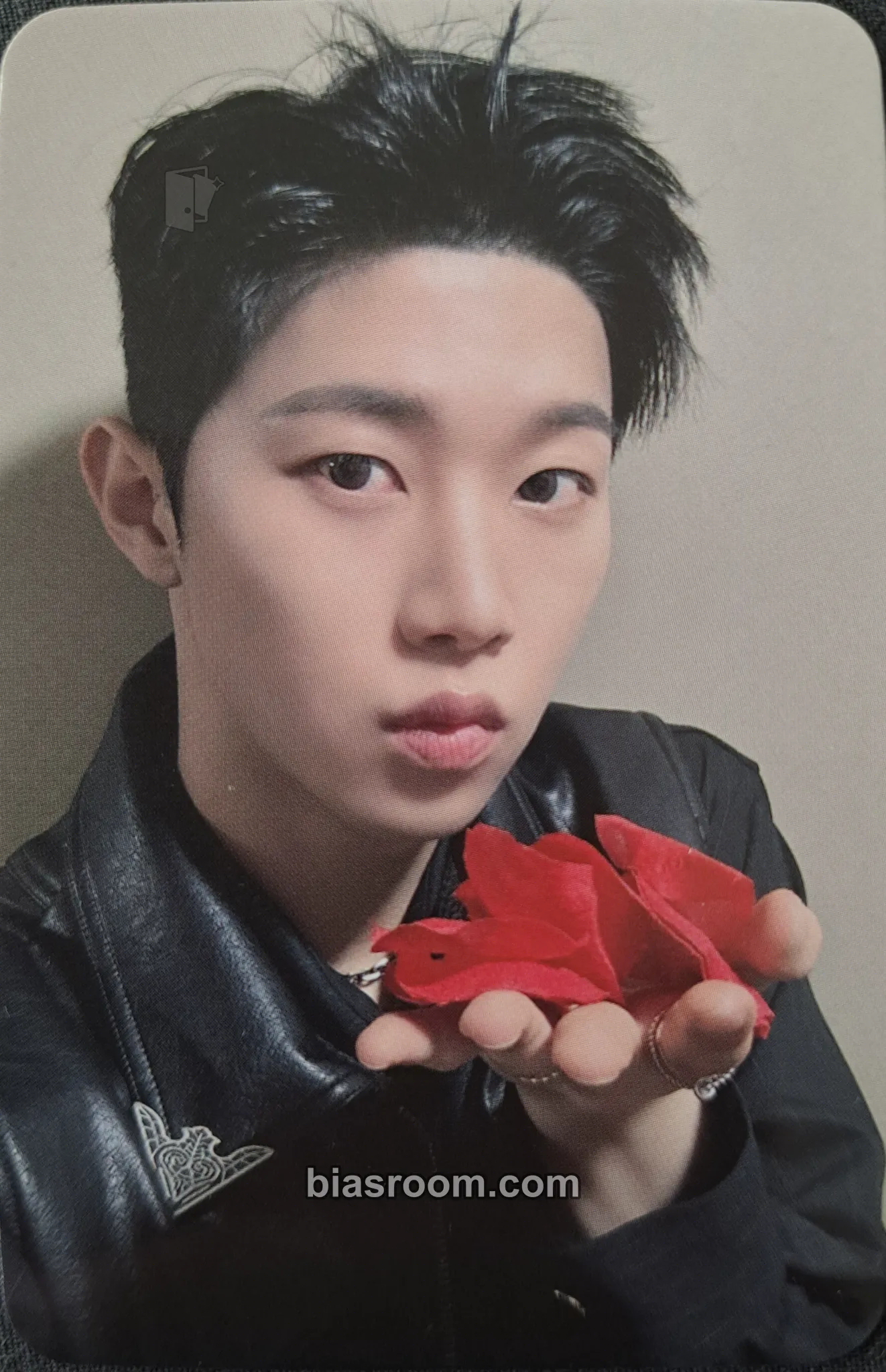 Hyunwoo Photocards (xikers) | Bias Room