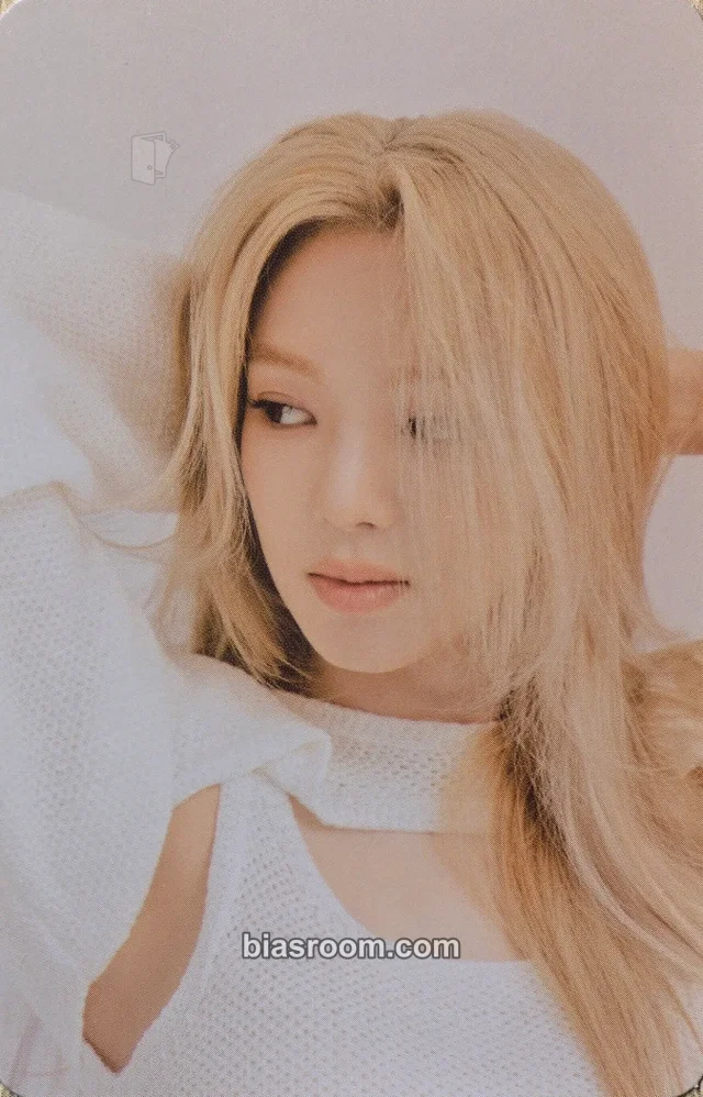 Girls' Generation - Hyoyeon - Girl's Generation-Oh!GG-2022 Season's Greetings Other synnara pob (pre-order benefit) season's greetings