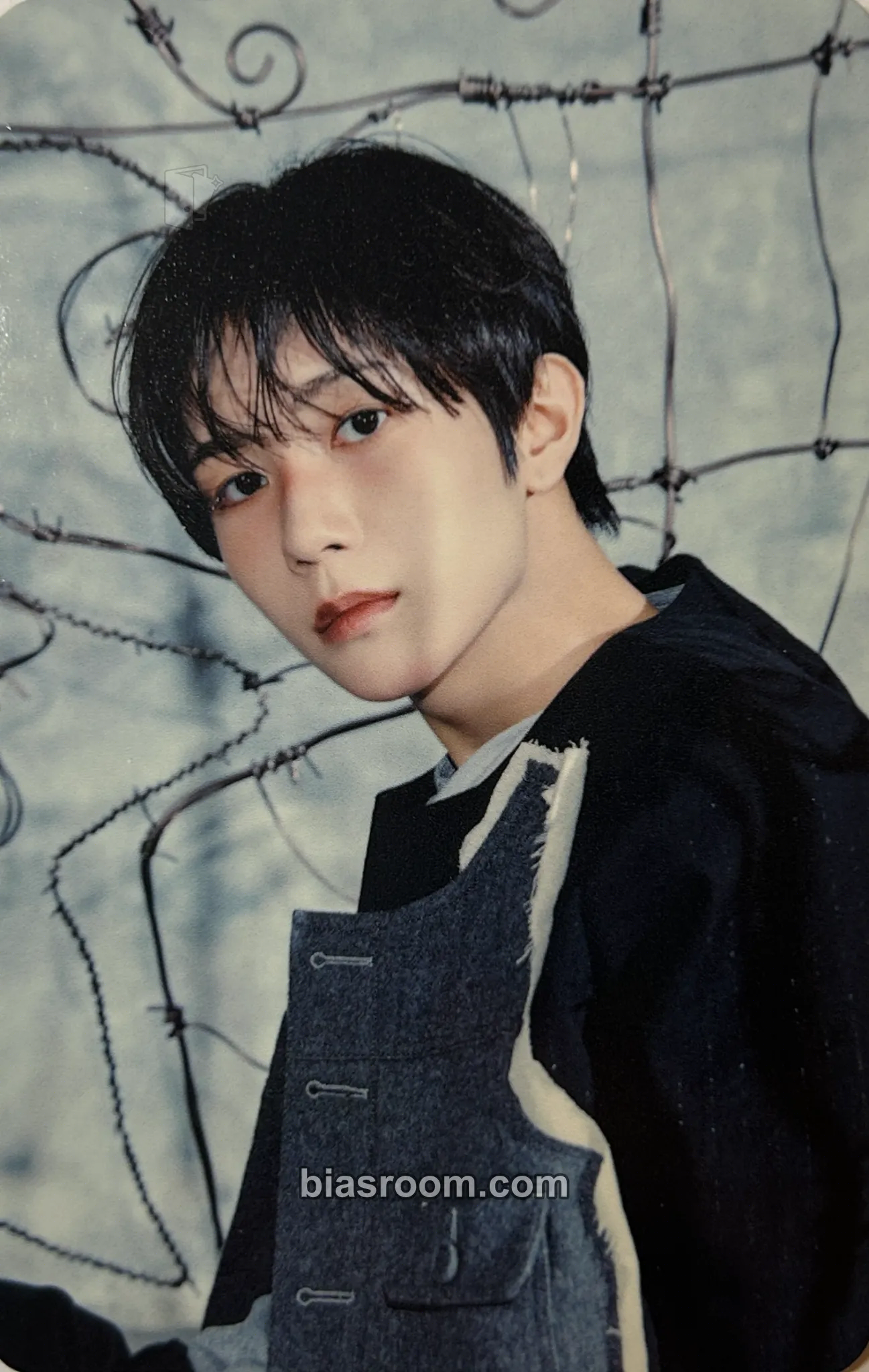 Ryo Ode to Love Photocard - NCT WISH - NCT WISH K-pop photocard