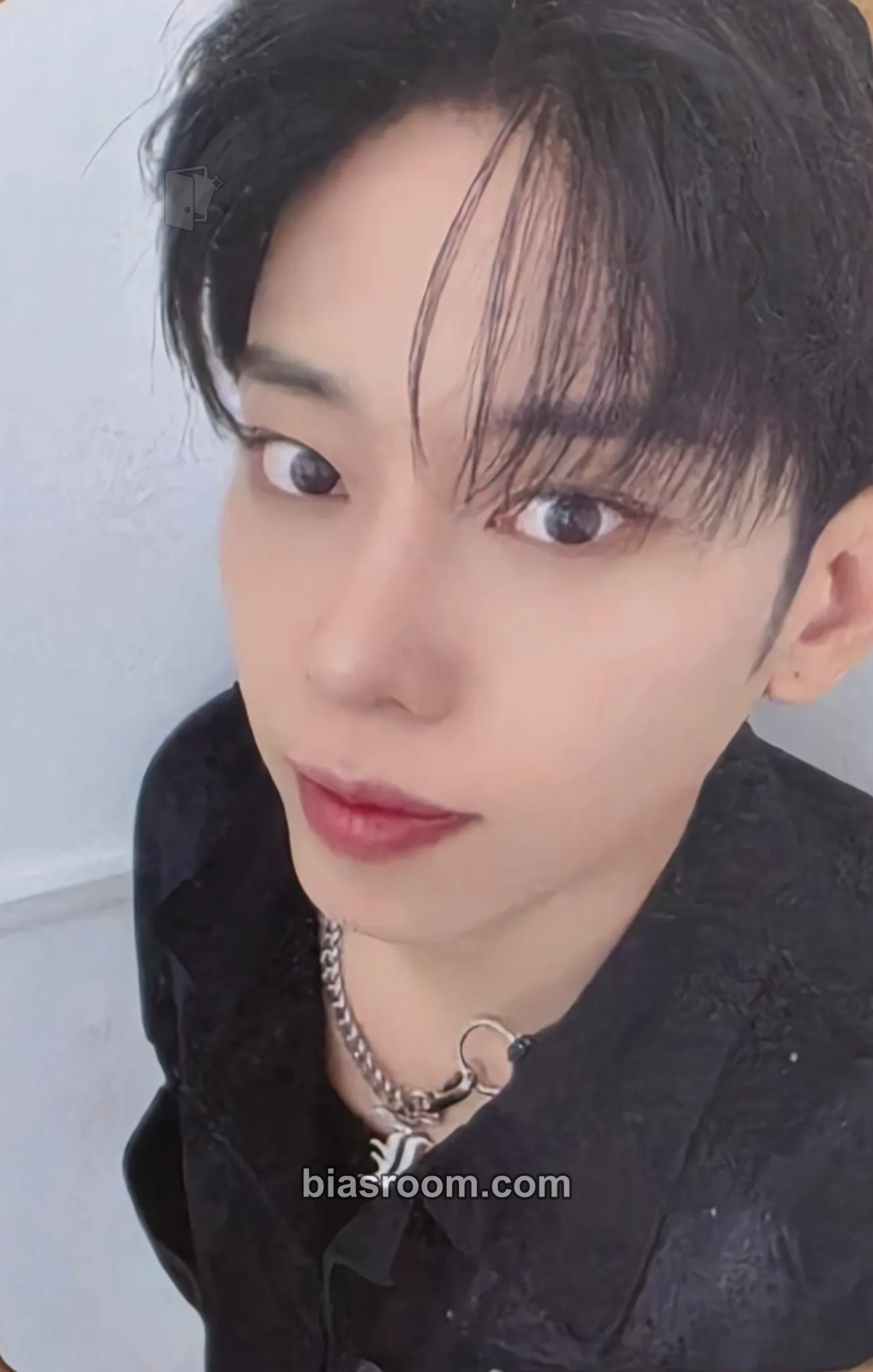 Donghyun 2026 Season's Greetings Photocard - AB6IX - AB6IX K-pop photocard