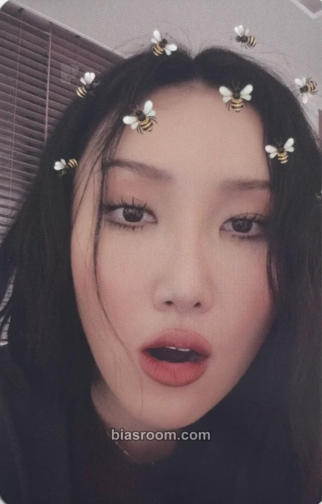MAMAMOO - Hwasa - 2022 Hwasa's Birthday Set Other pob (pre-order benefit) bizent