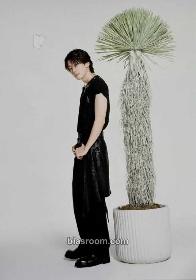 SEVENTEEN - Wonwoo - Spill the Feels Album feel new version KiT/kihno version postcard postcard set
