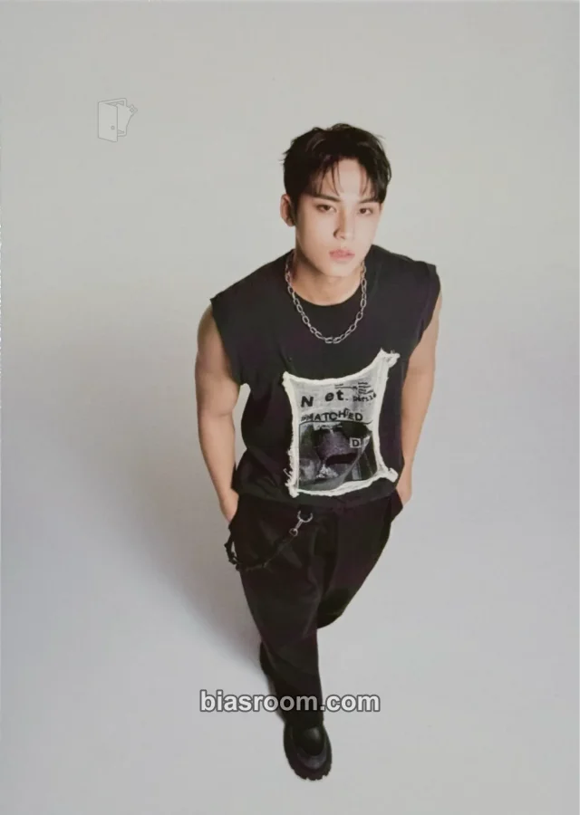 SEVENTEEN - Mingyu - Spill the Feels Album feel new version KiT/kihno version postcard postcard set