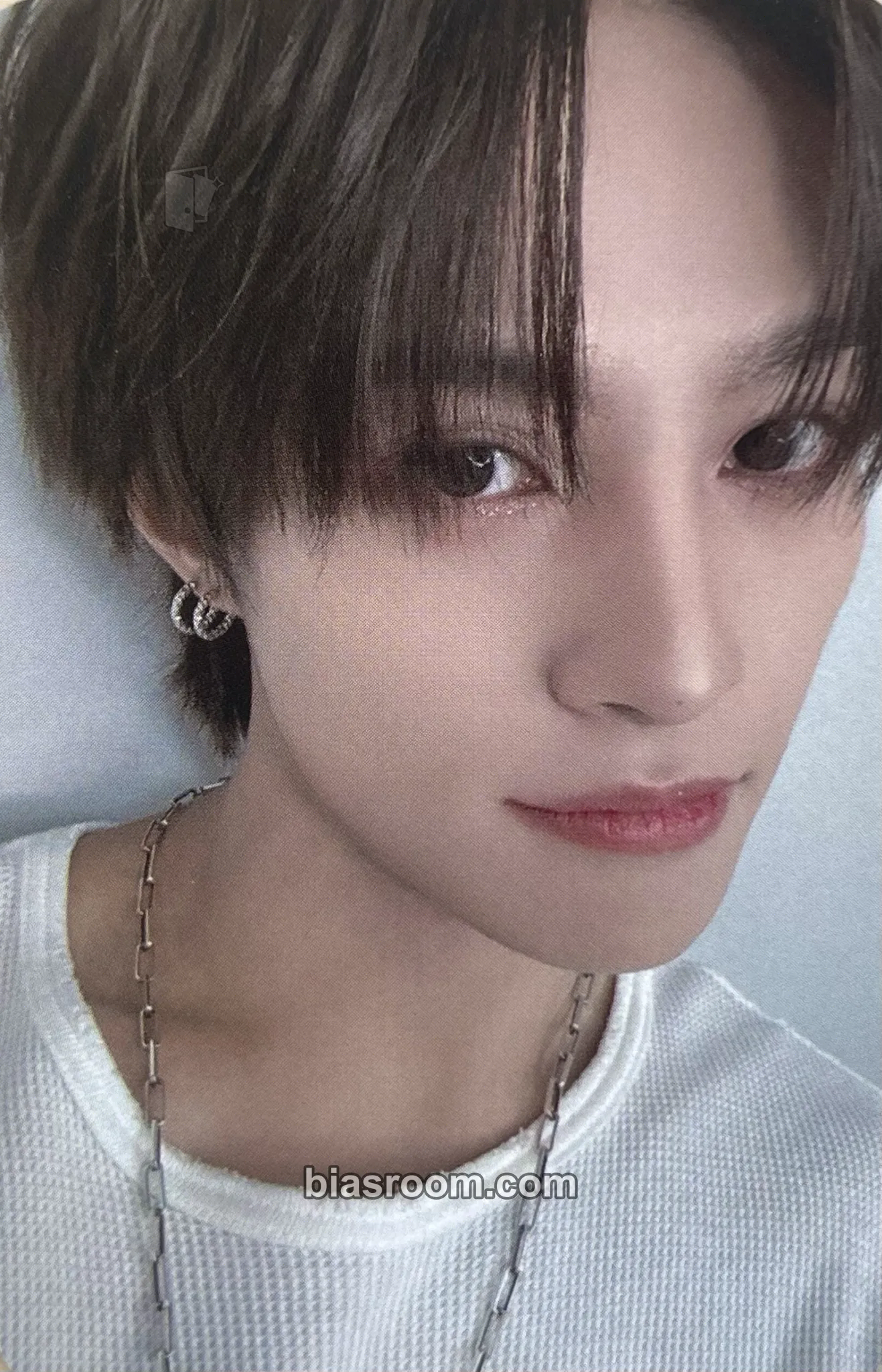 Yangyang WayV 6th Anniversary Photocard - WayV - WayV K-pop photocard