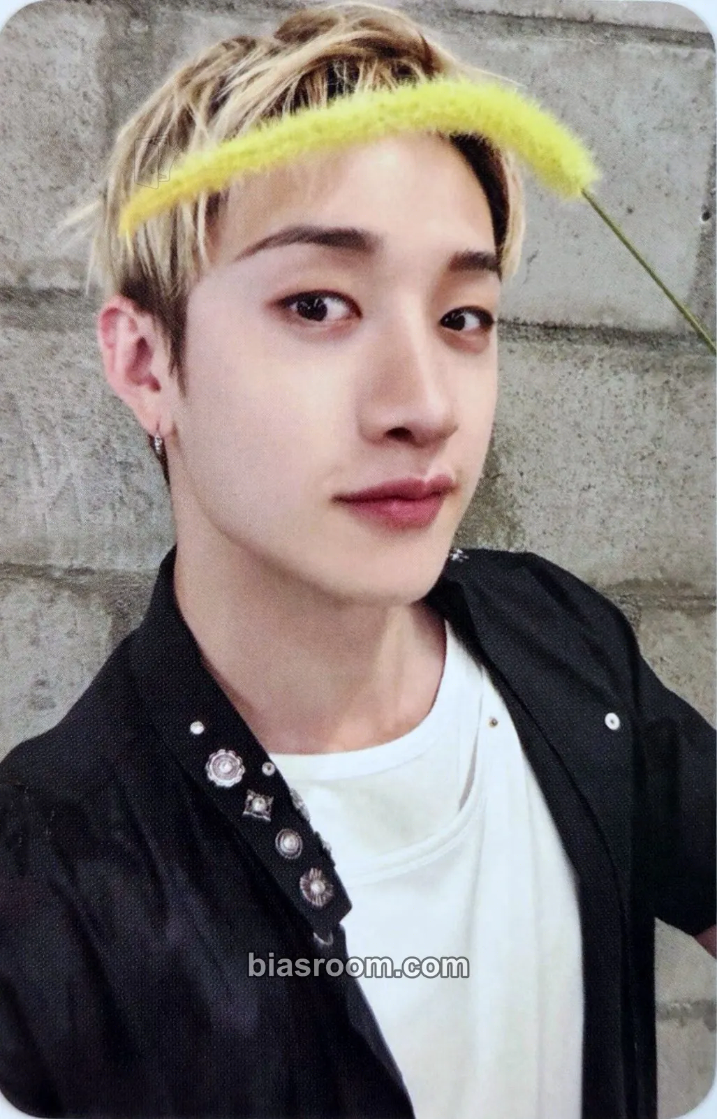Bang Chan This & That Photocard - Stray Kids - Stray Kids K-pop photocard