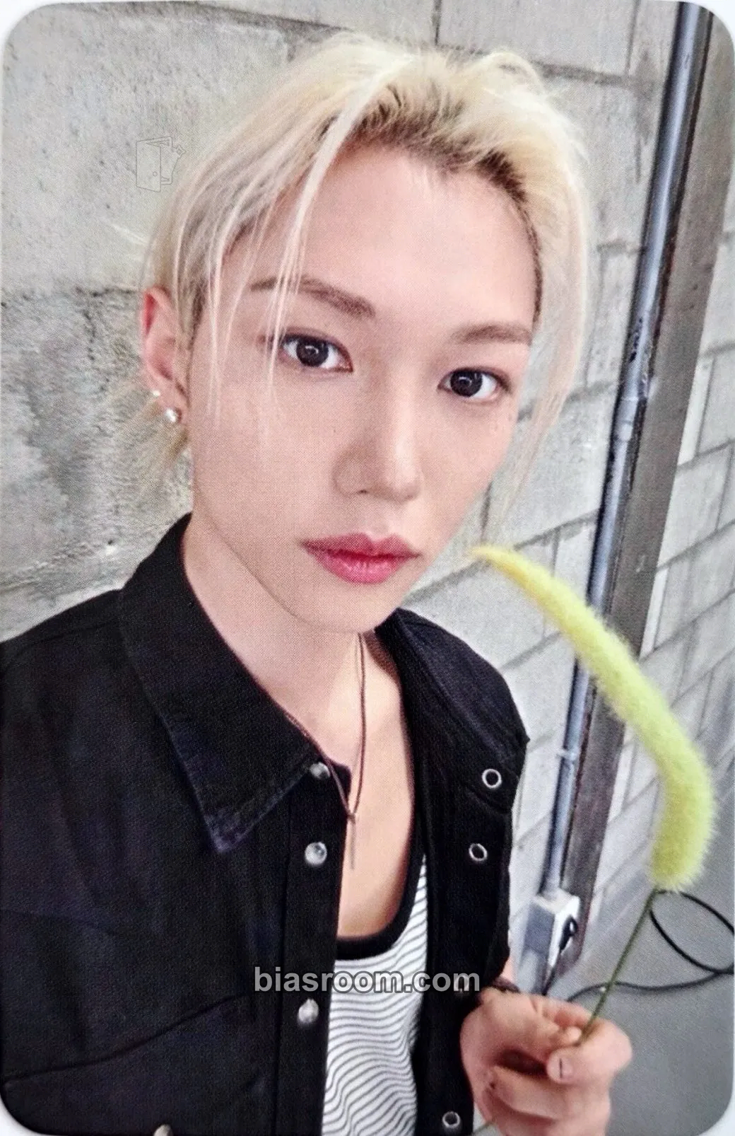 Felix This & That Photocard - Stray Kids - Stray Kids K-pop photocard