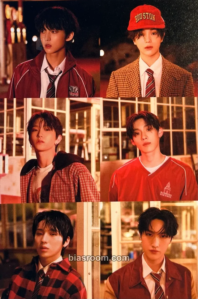 TNX - LOVE NEVER DIES Album postcard album inclusion record version