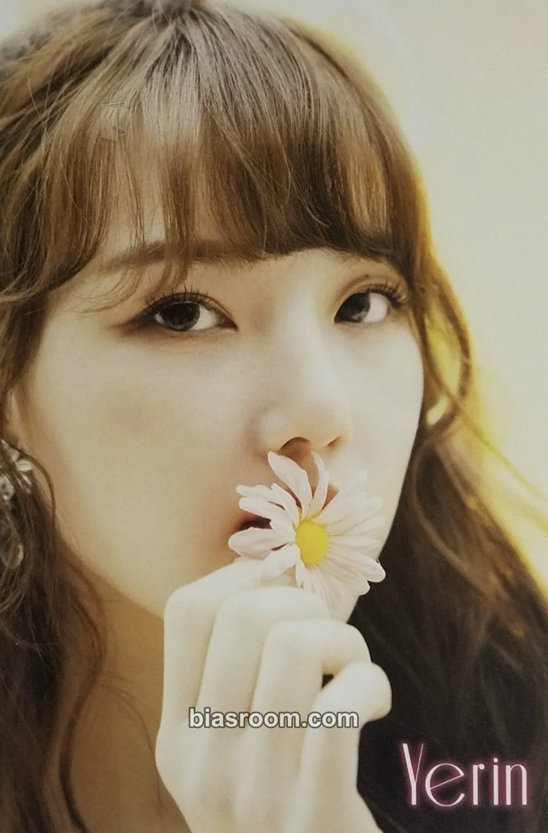 Yerin Flower Photocard - GFRIEND - GFRIEND K-pop photocard