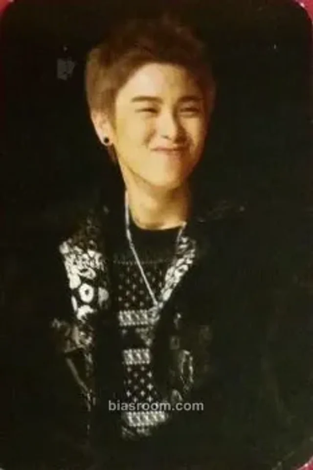 Block B - P.O. - Official LOEN Photocard Set Other B version photocard set
