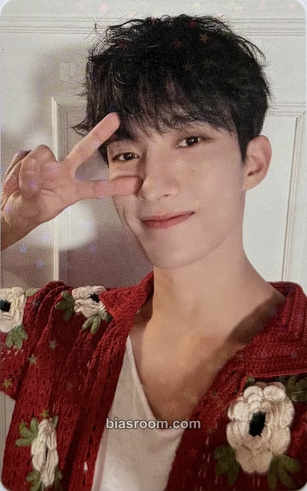 DK Seventeenth Heaven Photocard - SEVENTEEN - SEVENTEEN K-pop photocard