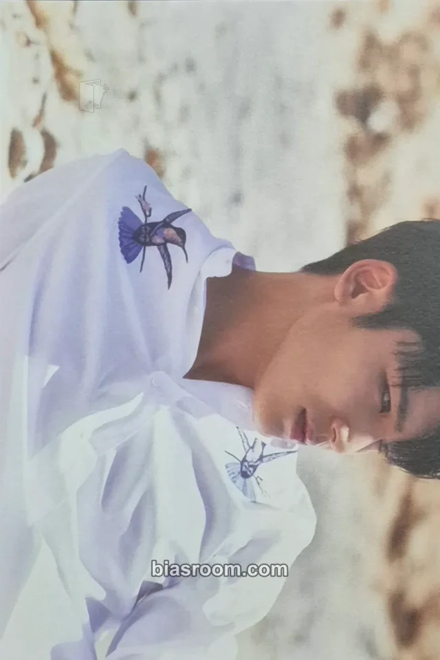 SEVENTEEN - Mingyu - Al1 Album album inclusion postcard