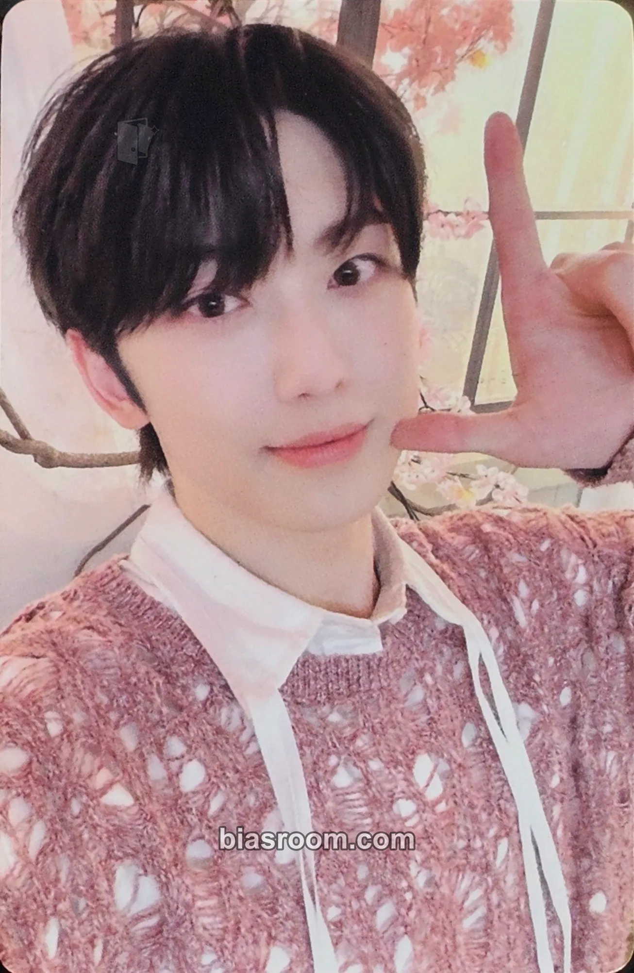 Fuma Photocards (&TEAM) | Bias Room
