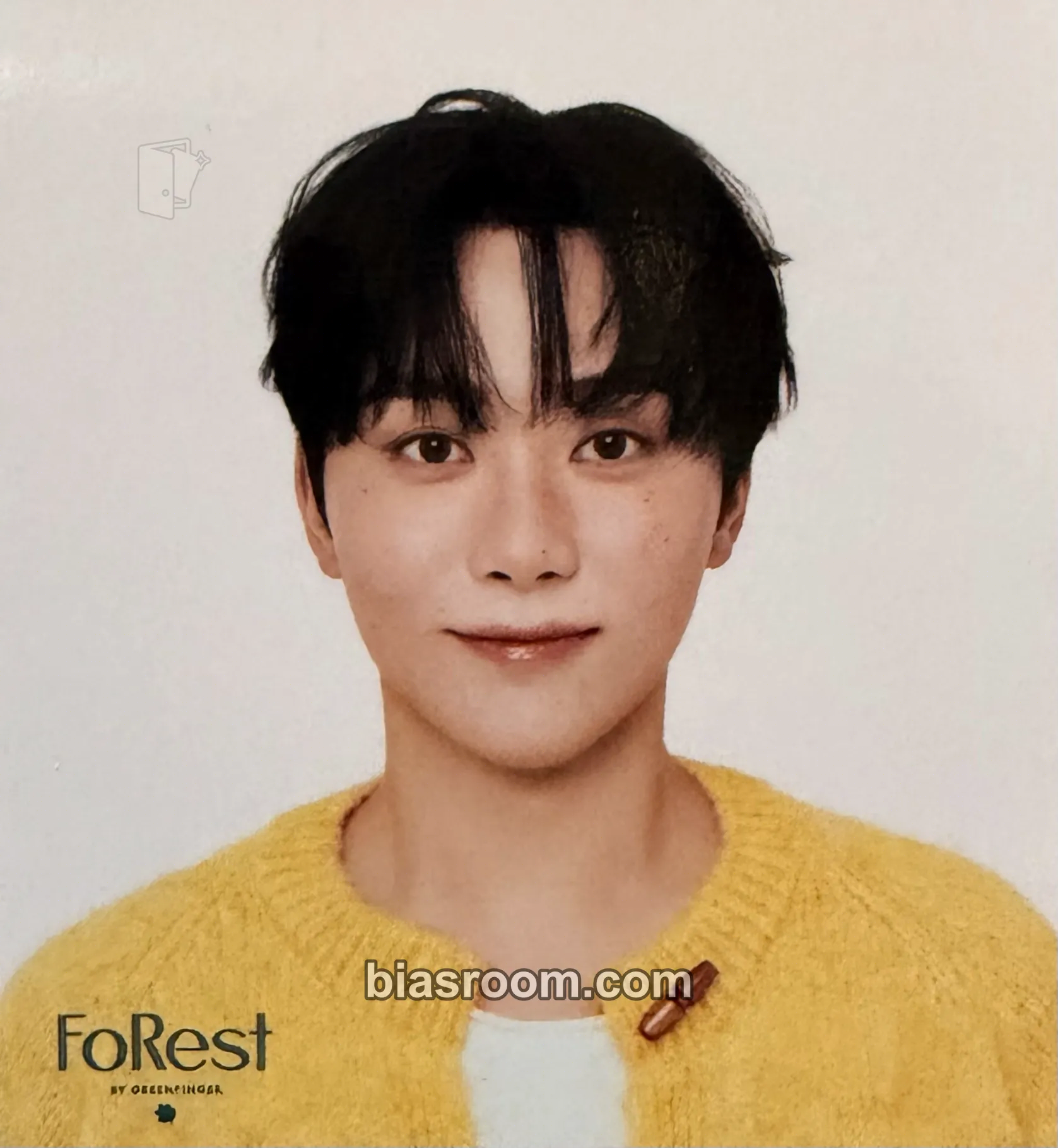 Seungkwan FoRest x Seungkwan Brand Collaboration Photocard - SEVENTEEN - SEVENTEEN K-pop photocard