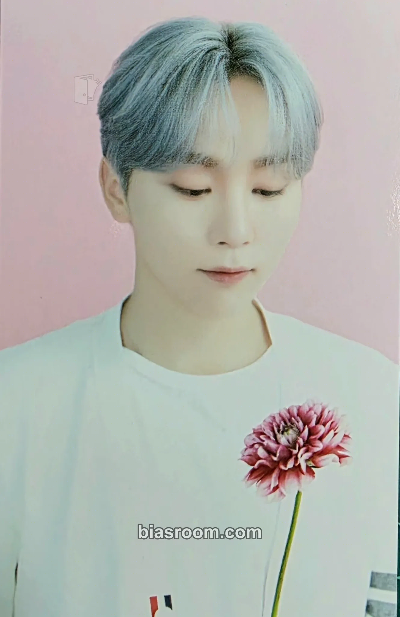 Seungkwan SEVENTEEN CAFE IN SEOUL Photocard - SEVENTEEN - SEVENTEEN K-pop photocard