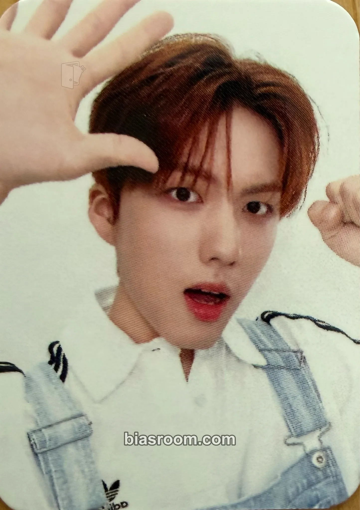Hankook On My Knees Photocard - TRENDZ - TRENDZ K-pop photocard