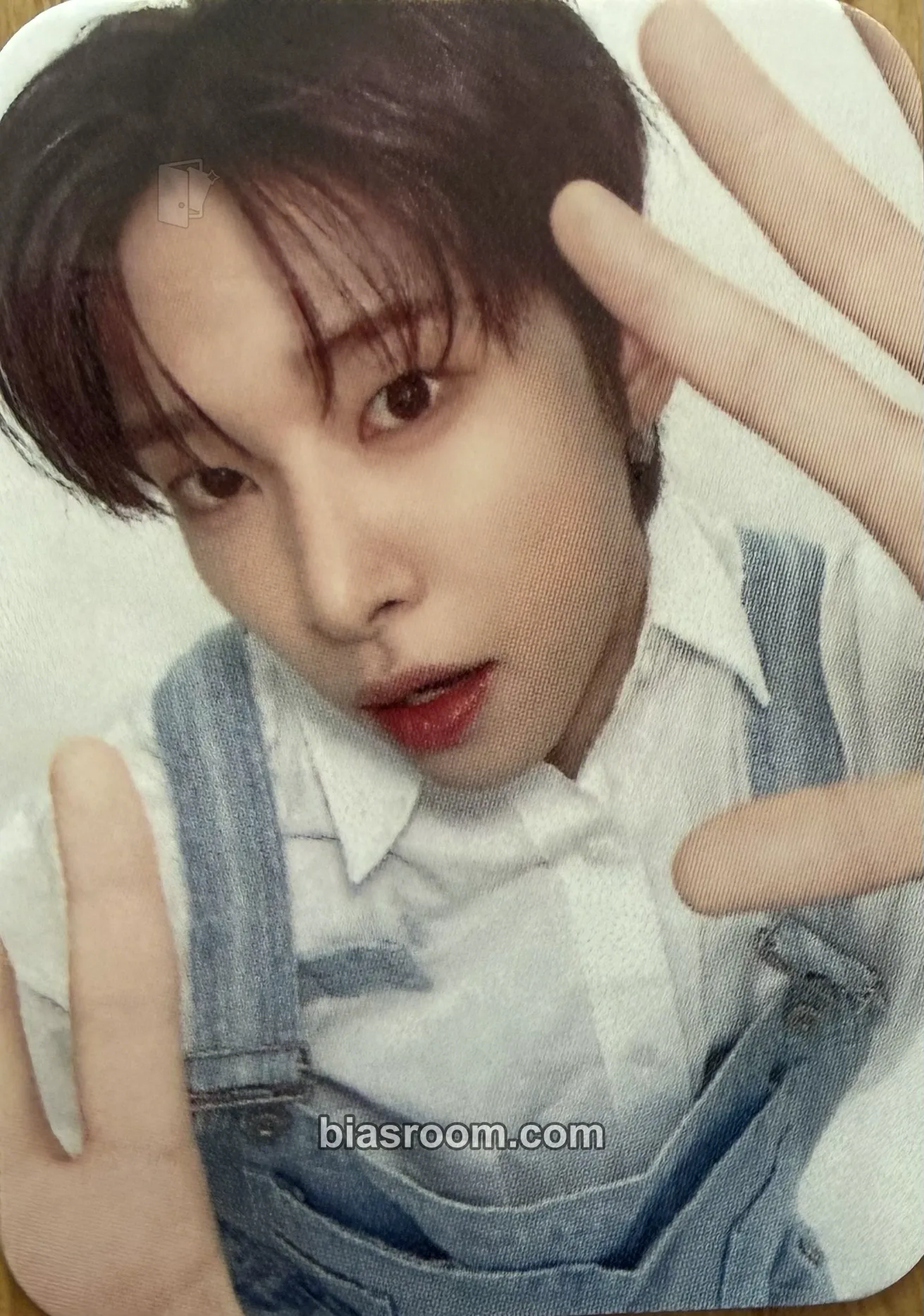 Leon On My Knees Photocard - TRENDZ - TRENDZ K-pop photocard