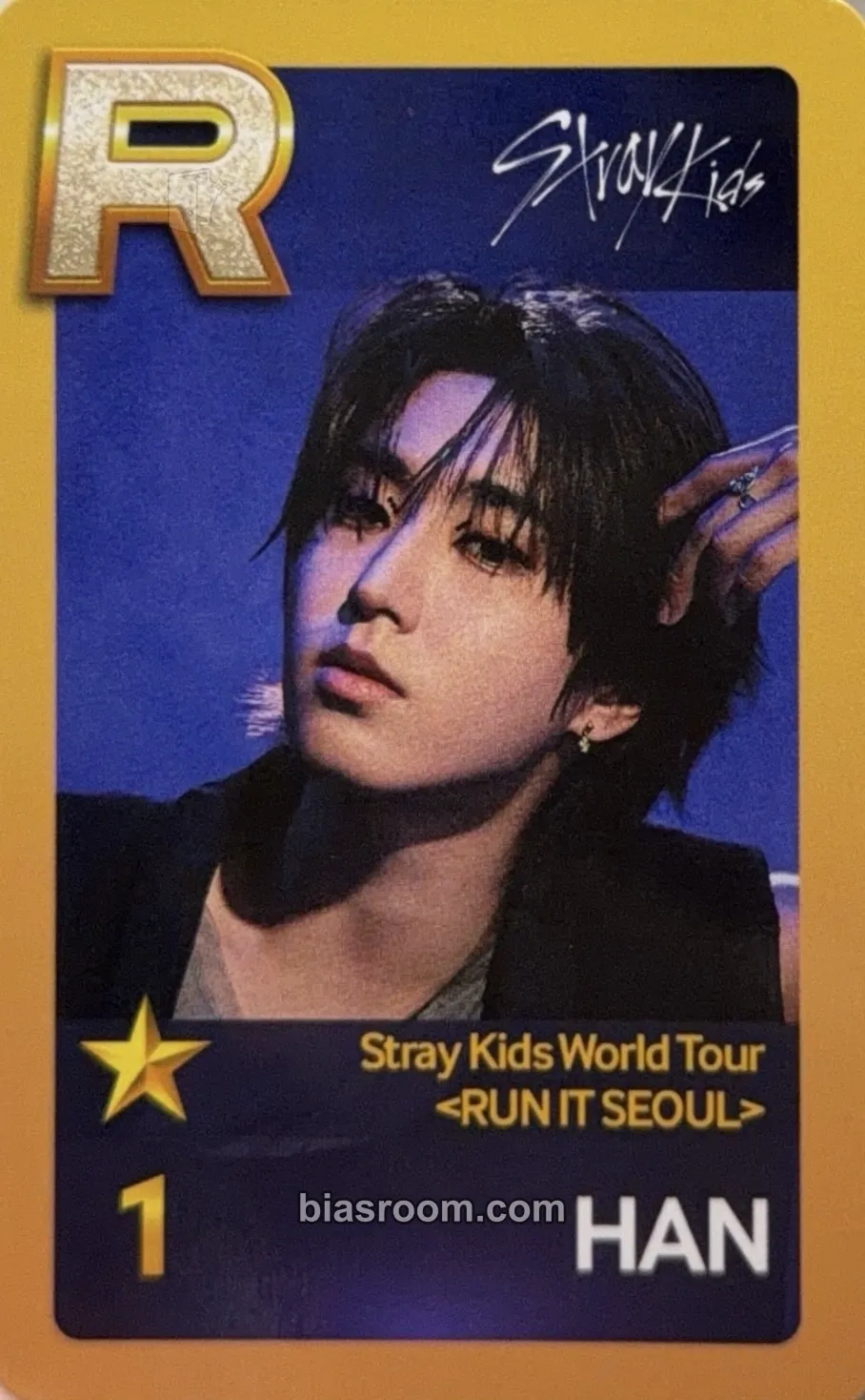 HAN RUN IT World Tour Photocard - Stray Kids - Stray Kids K-pop photocard