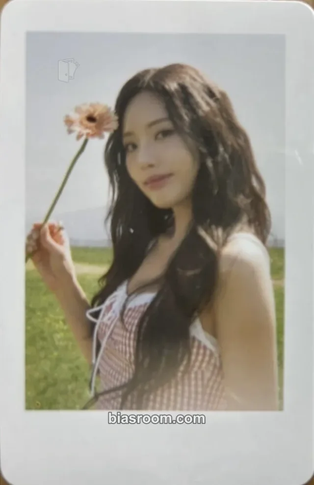 fromis_9 - Jiwon - 2024 PHOTOBOOK <FROM SUMMER> Other merch photocard trading card photo exhibit